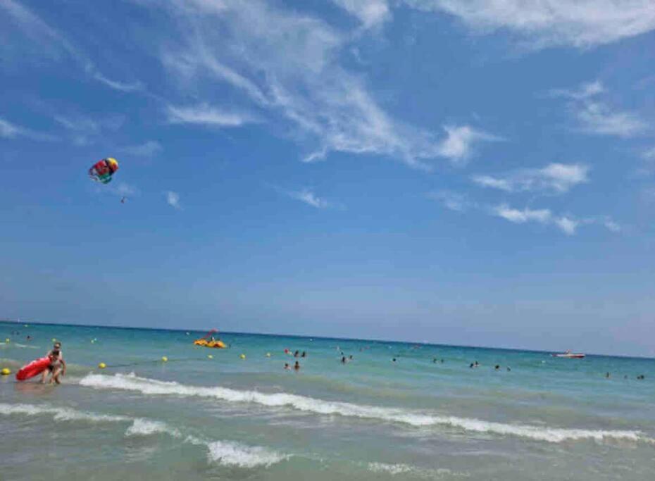 Charming & Spacious Apartment In Historic Centre & Short Walk To Beach Alicante Exterior photo
